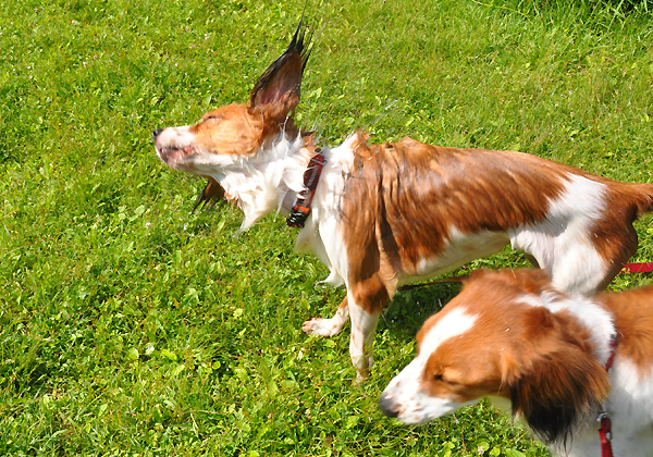 d0079912_004580.jpg