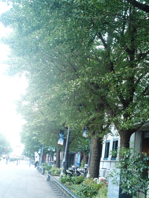 e0117613_2323226.jpg
