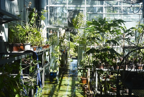 植物園へ行く_b0212922_22321717.jpg