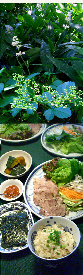 d0043225_22493399.jpg