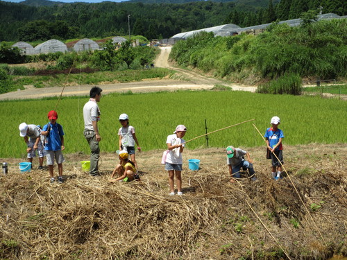 越前里地里山チャレンジ隊2012の暑い夏!_e0061225_1324891.jpg