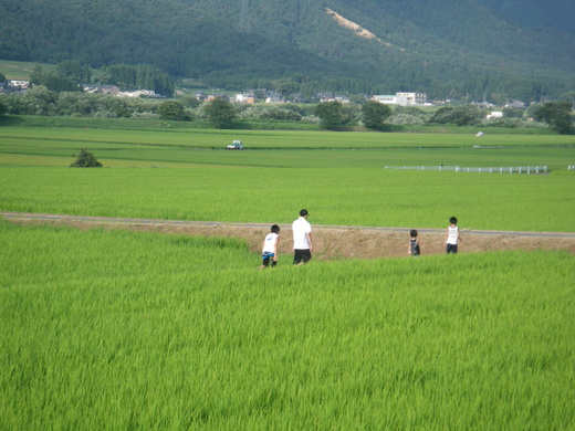 d0172227_5542757.jpg