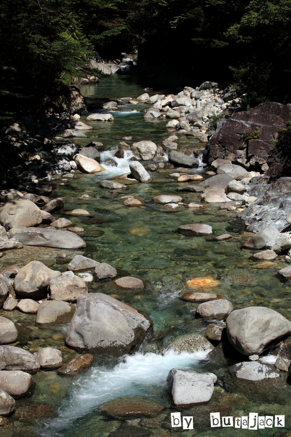 e0220828_20332362.jpg