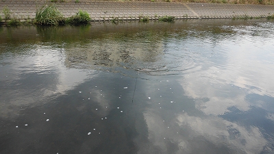 f0087933_186376.jpg
