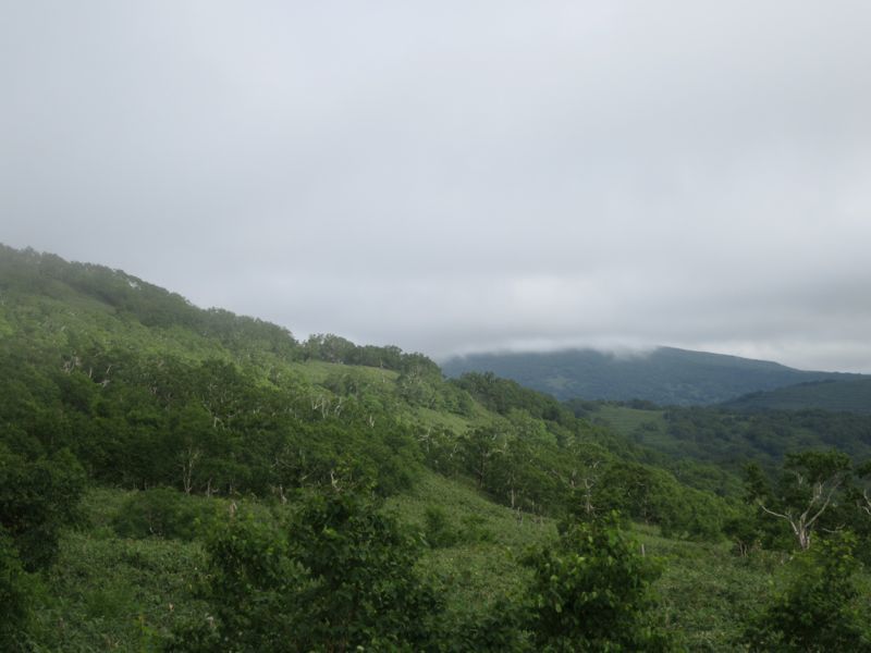 d0111435_22394990.jpg