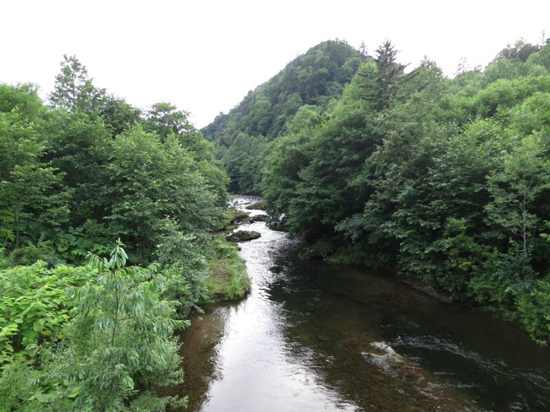 d0111435_2240280.jpg