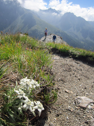 夏のアルプス山歩き2_f0234936_23592263.jpg