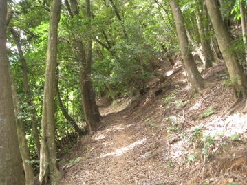 c0077338_5581875.jpg