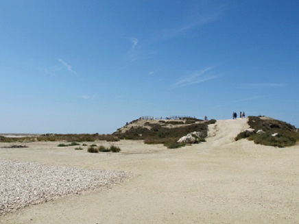 d0167041_2151282.jpg