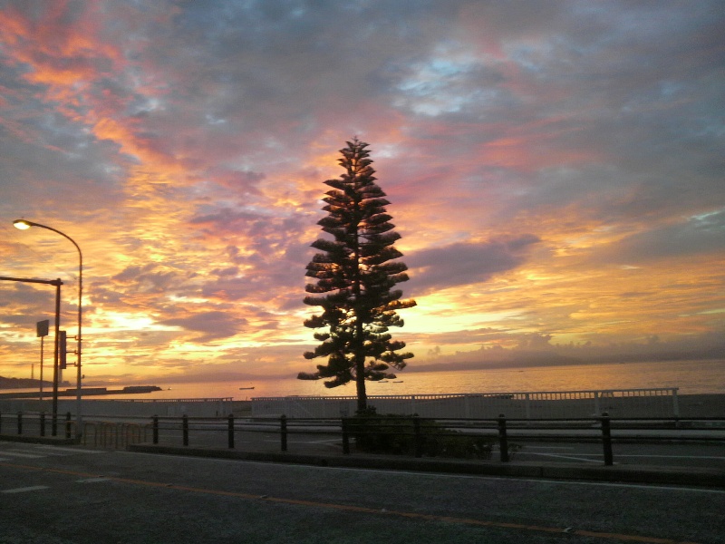 e0095142_2048259.jpg