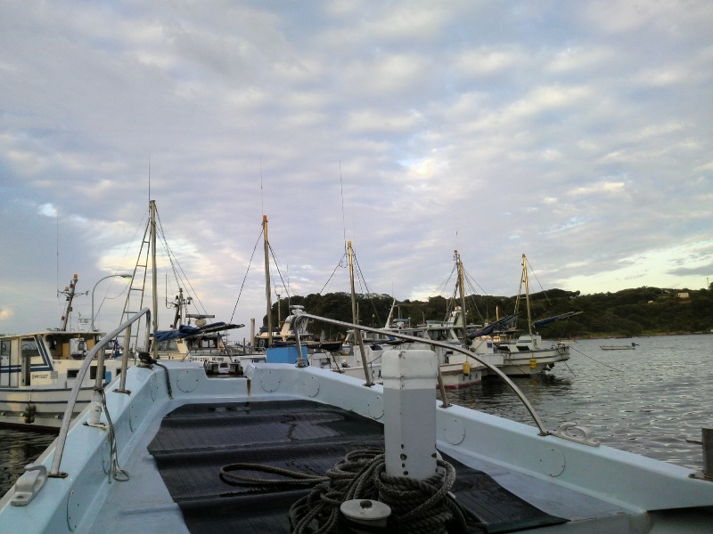 e0095142_20495964.jpg