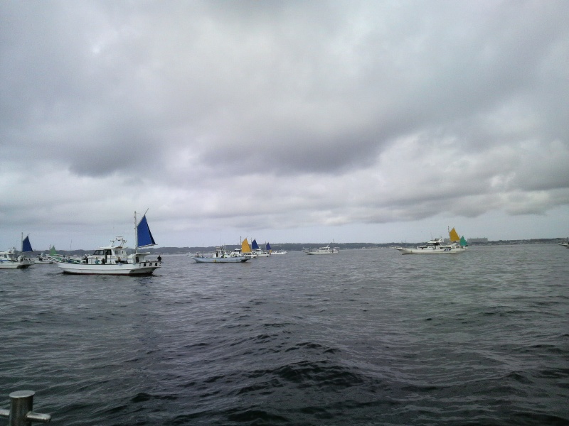 e0095142_2051049.jpg