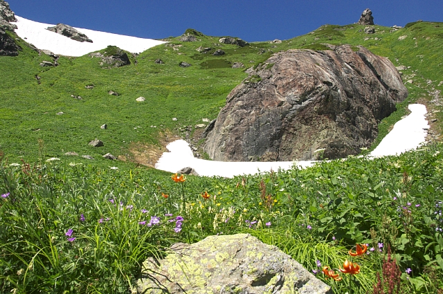 b0122448_2204267.jpg