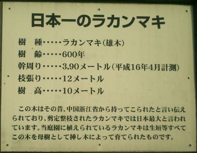 松新に行こう（終）_e0033751_23164675.jpg