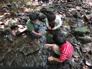 7月3,4週 すくすく_e0256851_22523963.jpg