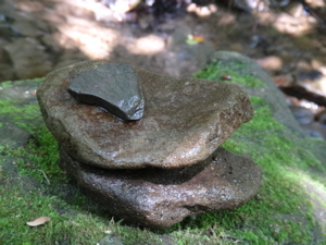 7月3,4週 すくすく_e0256851_23141610.jpg