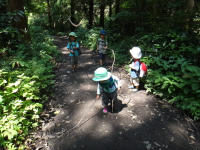 7月3,4週 すくすく_e0256851_2329869.jpg