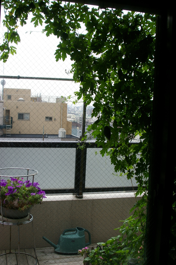f0154751_20531312.jpg