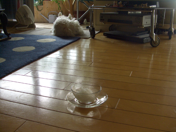ちょっと食べてみた_b0107163_236462.jpg