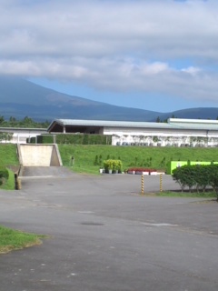 a0139367_2152736.jpg