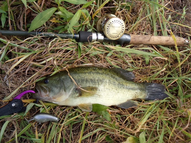 釣果_a0040876_23575994.jpg