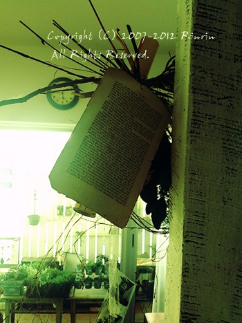 引きこもりと夏旅行の計画★_e0237680_180477.jpg