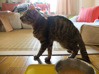 DAY OFF:ミラクル_a0180681_19383617.jpg