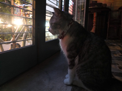 DAY OFF:ミラクル_a0180681_19385762.jpg