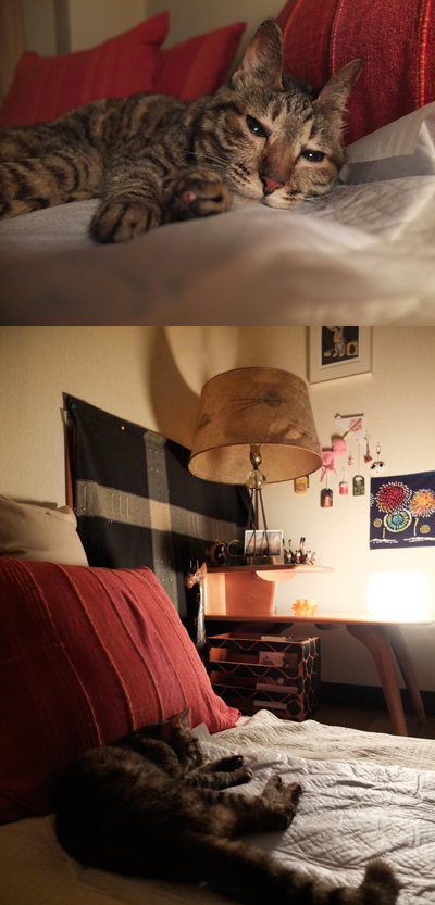 DAY OFF:ミラクル_a0180681_22482788.jpg