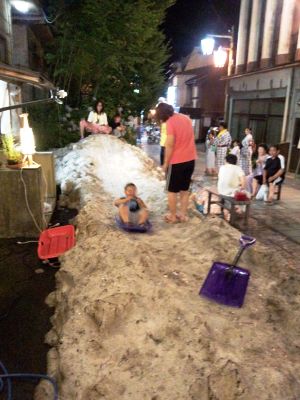 【真夏の雪遊び】・・・その後・・・_f0085982_1130821.jpg