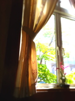 f0222387_19301753.jpg