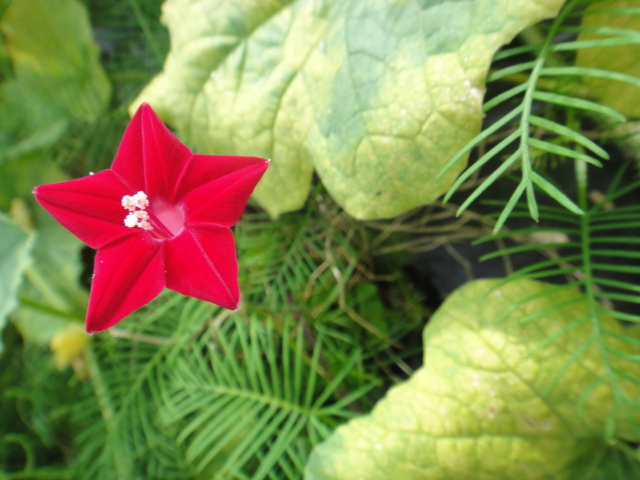 a0275492_3271051.jpg