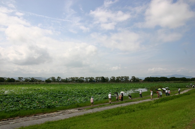 e0061694_7184141.jpg