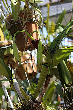 d0007501_14524893.jpg
