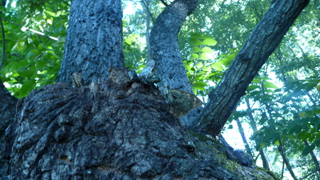 a0220902_20233539.jpg