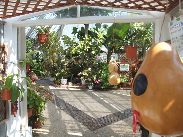 a0271502_17335987.jpg