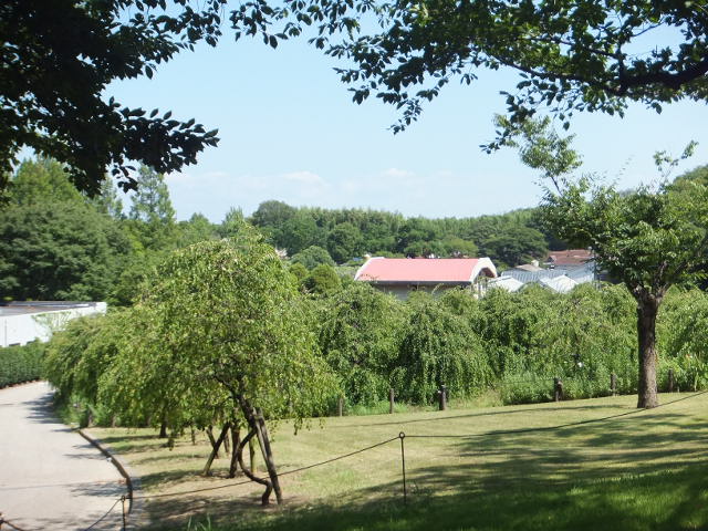 a0271502_1738337.jpg