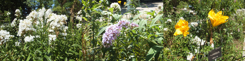 a0271502_17534850.jpg