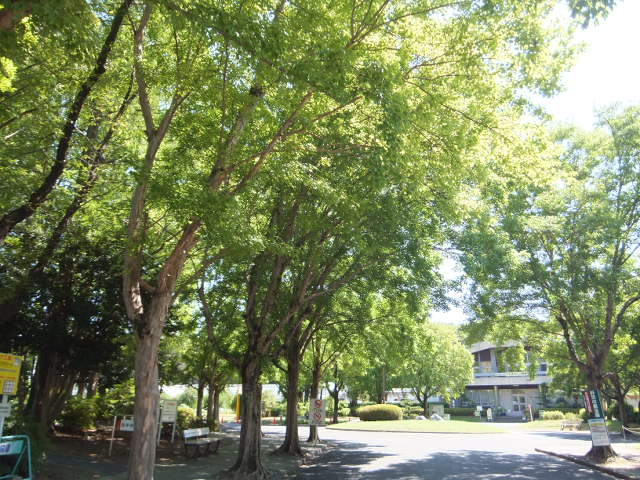 a0271502_1853973.jpg