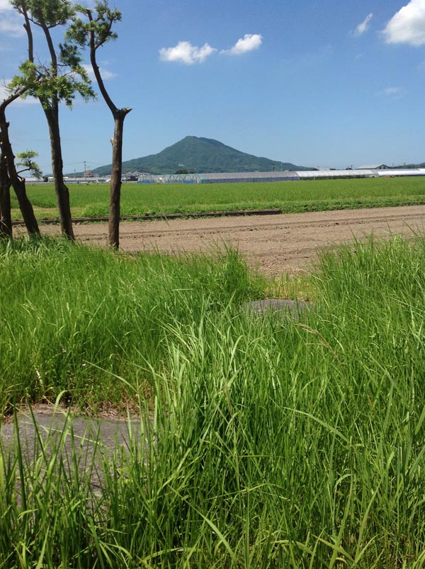 3、いとよき島、カヤの光…_f0071303_11591732.jpg