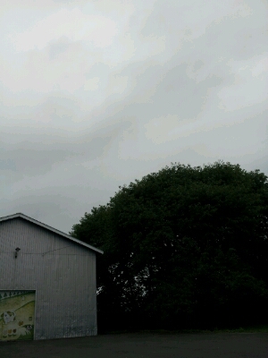 a0164408_1614540.jpg