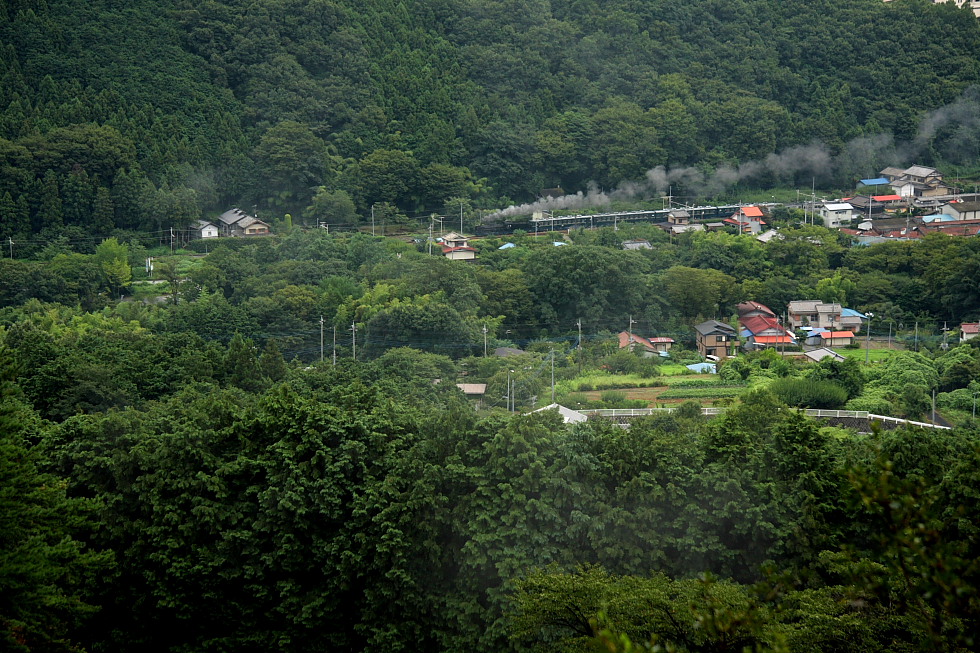 真夏の汽車 - 2011年・秩父 -_b0190710_011265.jpg