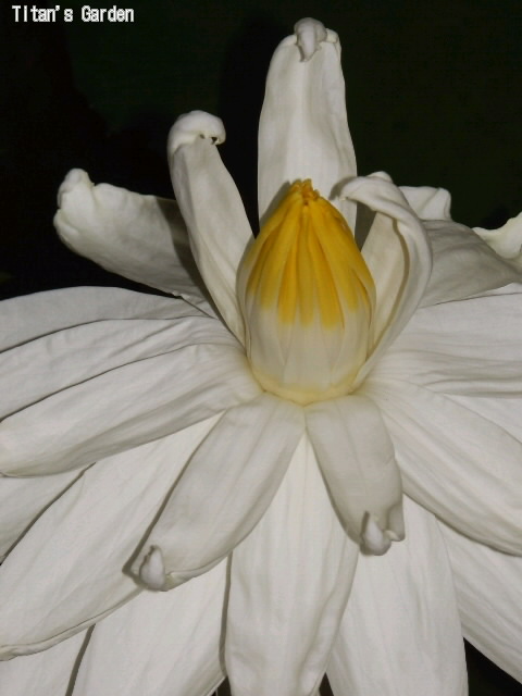 b0099813_0404749.jpg