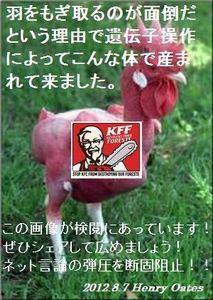 やっぱりな。。。_a0125419_11492313.jpg
