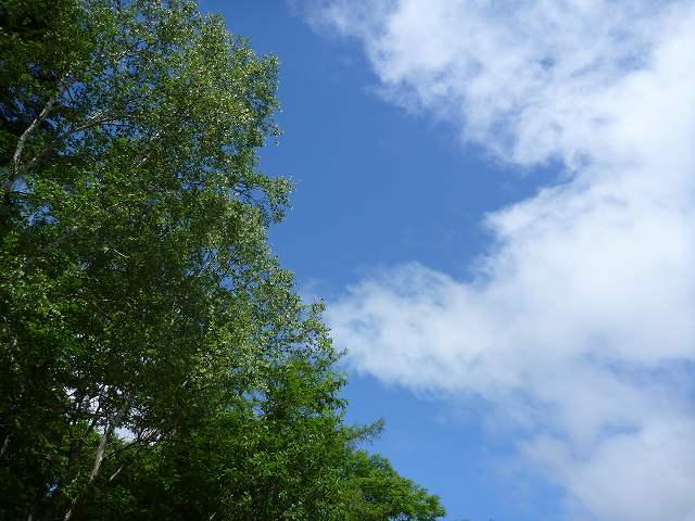 c0225621_16274557.jpg