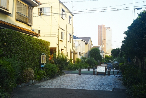夏の夕方_b0212922_1916276.jpg