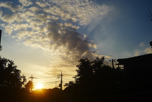 夏の夕方_b0212922_1925166.jpg