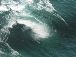 a0250024_17153276.png