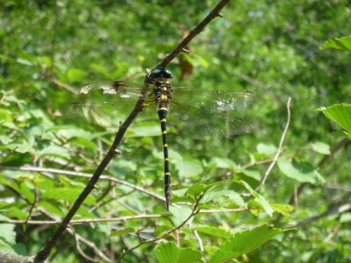 b0174425_1841757.jpg