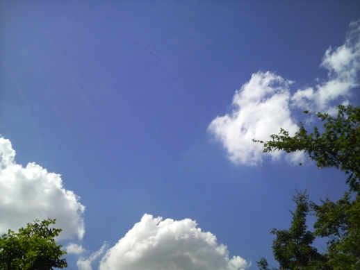 a0188926_23191515.jpg